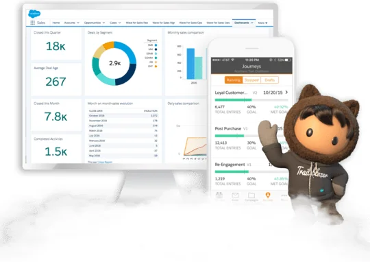 Salesforce Consulting